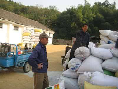 地磅收糧現(xiàn)場(chǎng)