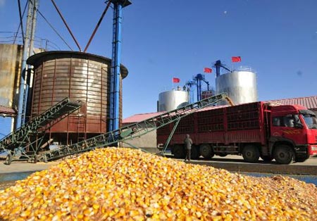 玉米烘干廠玉米裝車現(xiàn)場